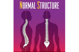 Revolution Chiropractic Blog - What Are NeuroStructural Shifts (1)