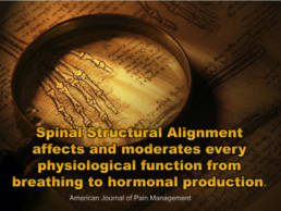 NeuroStructural Chiropractic - Revolution Chiropractic - Miami Queensland