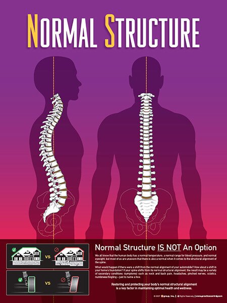 Scoliosis Chiropractor in Miami - Blog - Mark Ilgguth - Revolution Chiropractic - Image